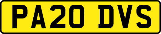 PA20DVS