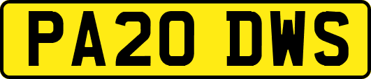 PA20DWS