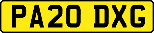 PA20DXG