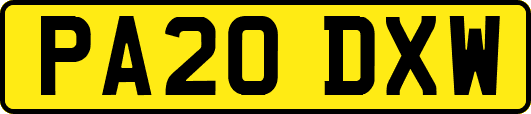 PA20DXW