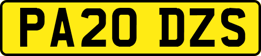 PA20DZS