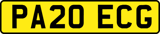 PA20ECG