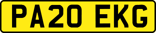 PA20EKG