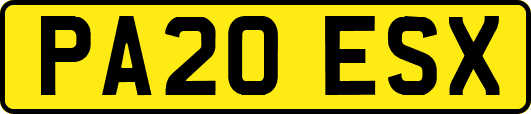 PA20ESX