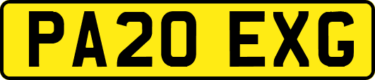 PA20EXG