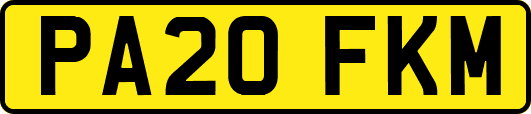 PA20FKM