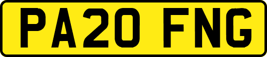 PA20FNG