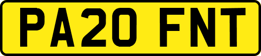 PA20FNT