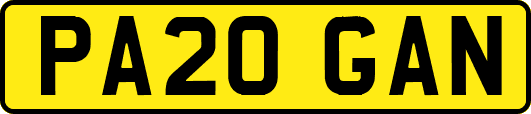 PA20GAN