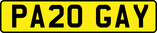 PA20GAY