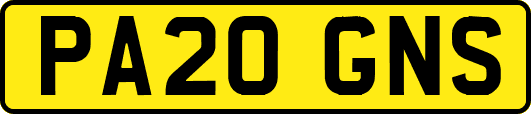 PA20GNS