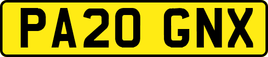 PA20GNX