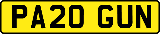 PA20GUN