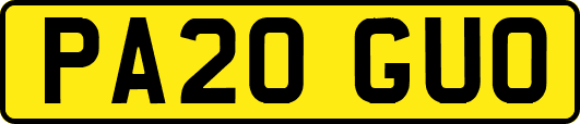 PA20GUO