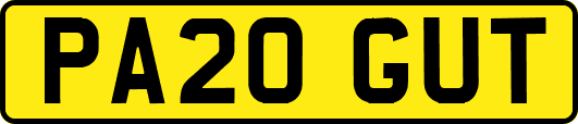 PA20GUT