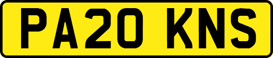 PA20KNS