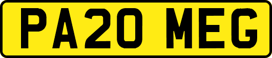 PA20MEG