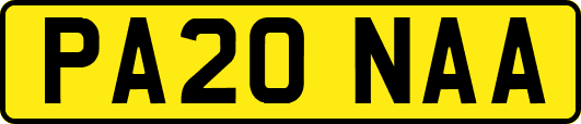 PA20NAA