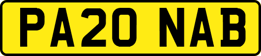 PA20NAB