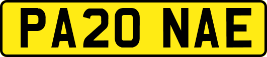 PA20NAE