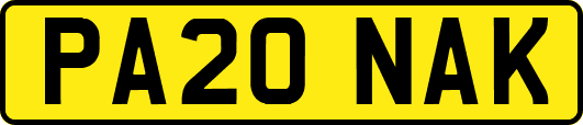 PA20NAK