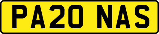 PA20NAS