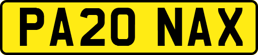 PA20NAX