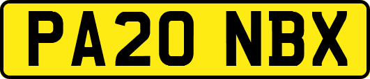 PA20NBX