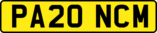 PA20NCM