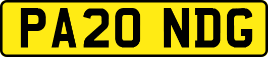 PA20NDG