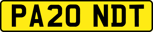PA20NDT