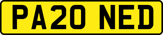 PA20NED