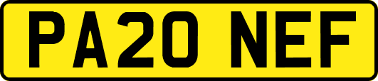 PA20NEF