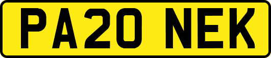 PA20NEK