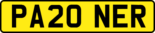 PA20NER