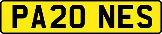 PA20NES