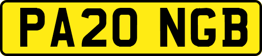 PA20NGB