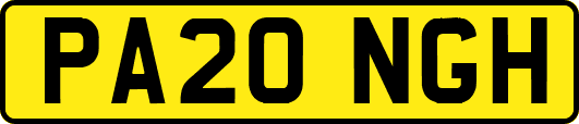 PA20NGH