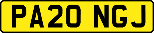 PA20NGJ