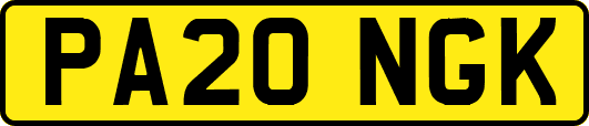 PA20NGK