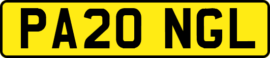PA20NGL