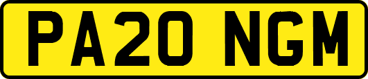 PA20NGM