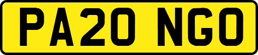 PA20NGO