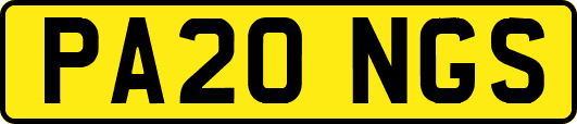 PA20NGS