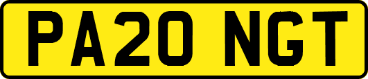 PA20NGT