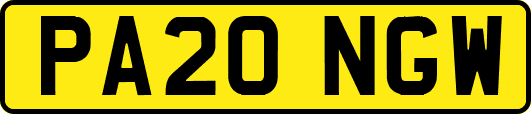 PA20NGW