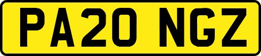 PA20NGZ