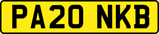 PA20NKB