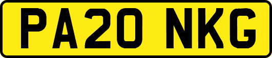 PA20NKG