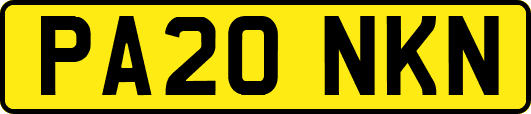 PA20NKN
